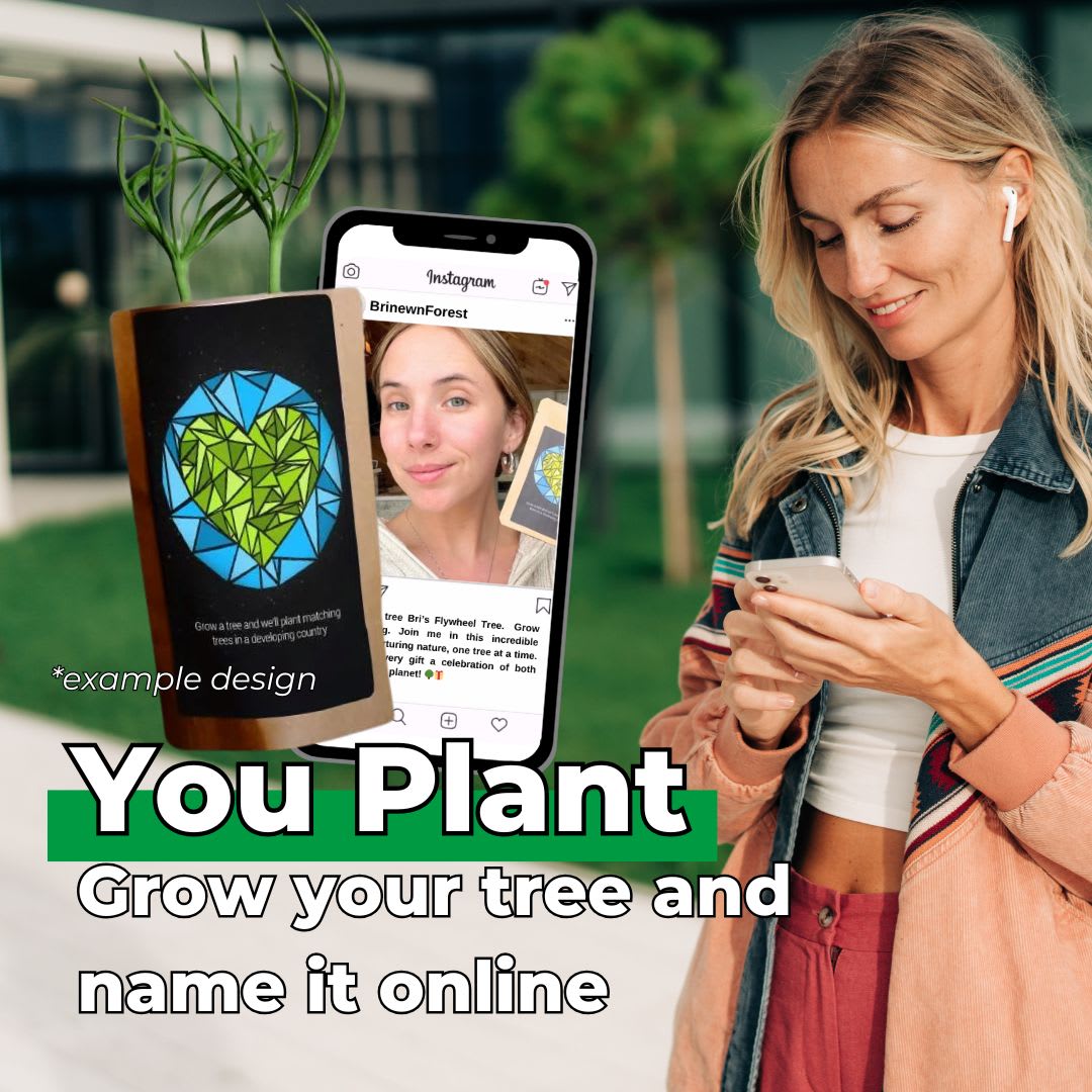 Every Forest Starts From a Single Seed - Plants 100 Trees