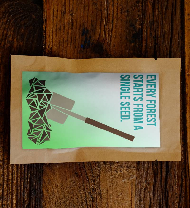 Every Forest Starts From a Single Seed - Plants 100 Trees